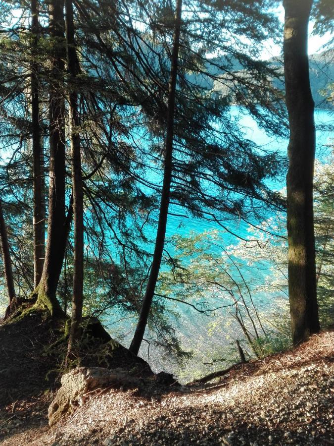 Apartmán Feichtingerbauer Fuschl am See Exteriér fotografie
