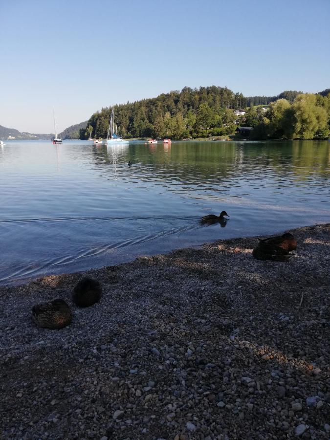 Apartmán Feichtingerbauer Fuschl am See Exteriér fotografie