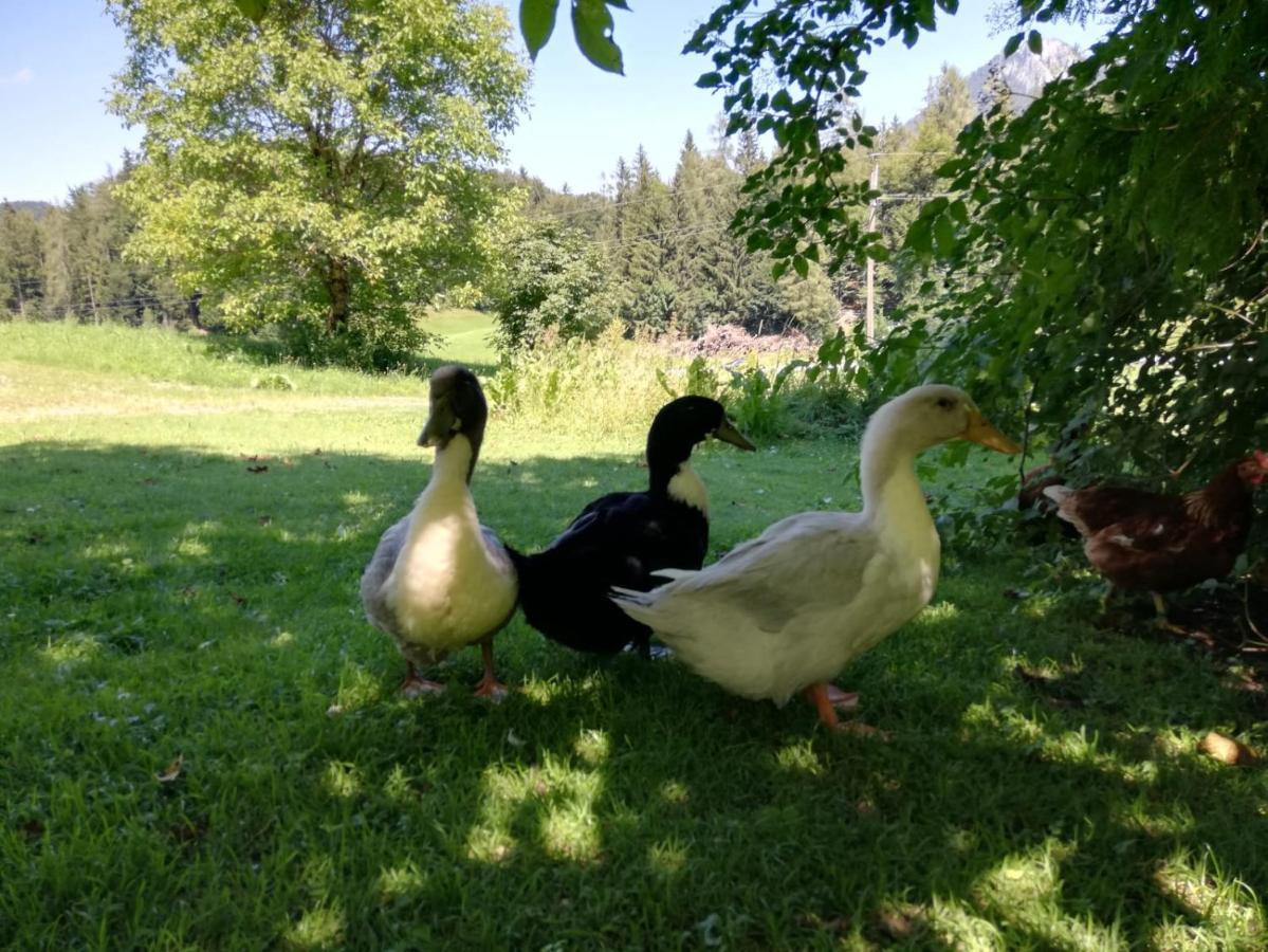 Apartmán Feichtingerbauer Fuschl am See Exteriér fotografie